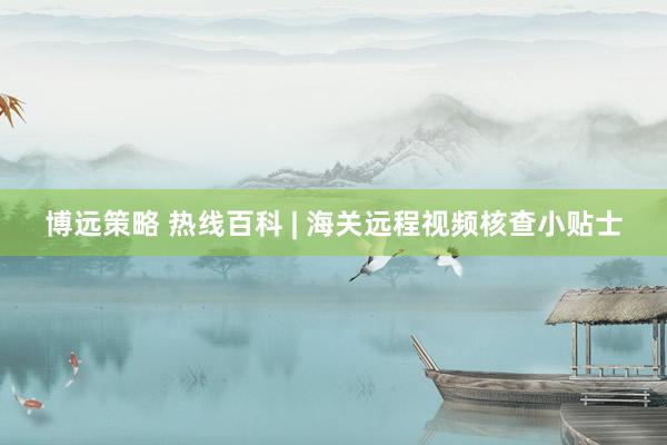 博远策略 热线百科 | 海关远程视频核查小贴士
