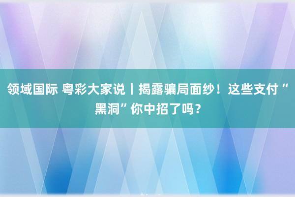 领域国际 粤彩大家说丨揭露骗局面纱!这些支付“黑洞”你中招了吗?