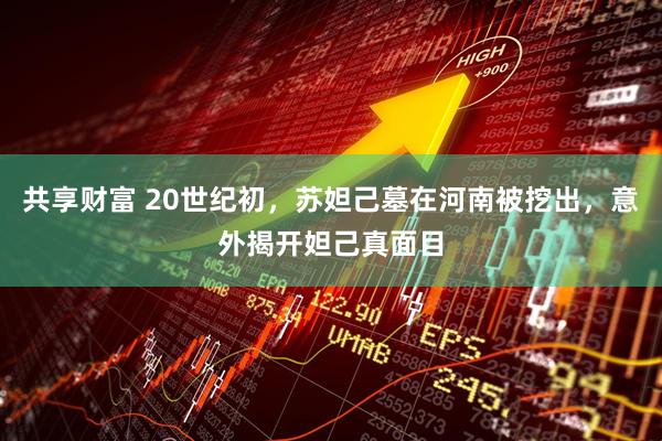 共享财富 20世纪初,苏妲己墓在河南被挖出,意外揭开妲己真面目